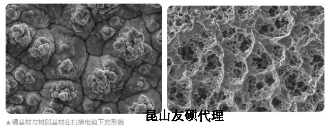 西安蔡司西安扫描电镜